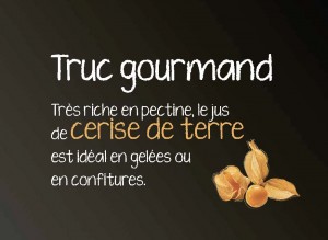 D-026_Truc gourmand_Page_03